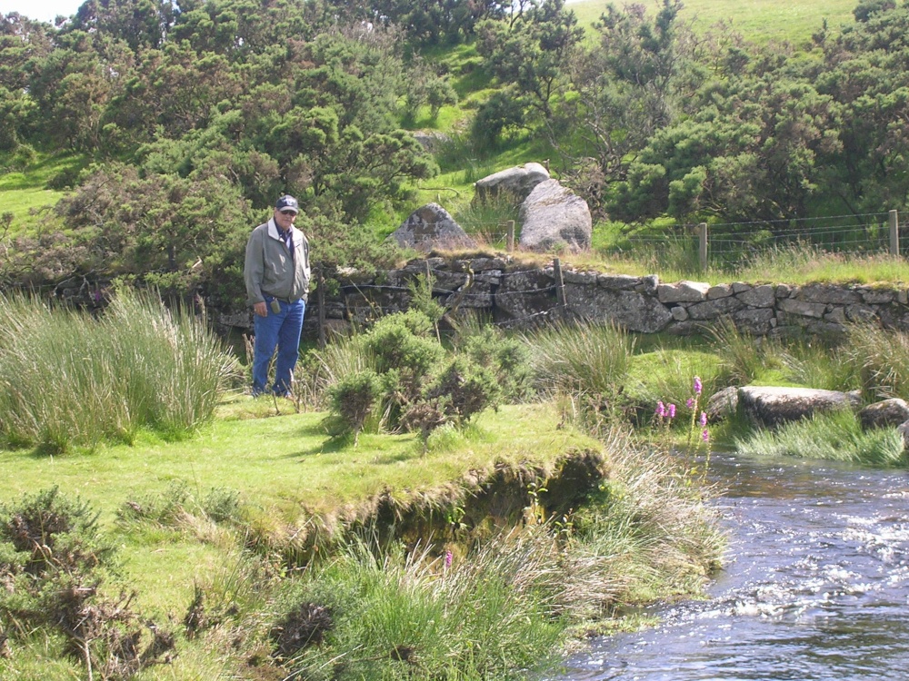 Dartmoor stream