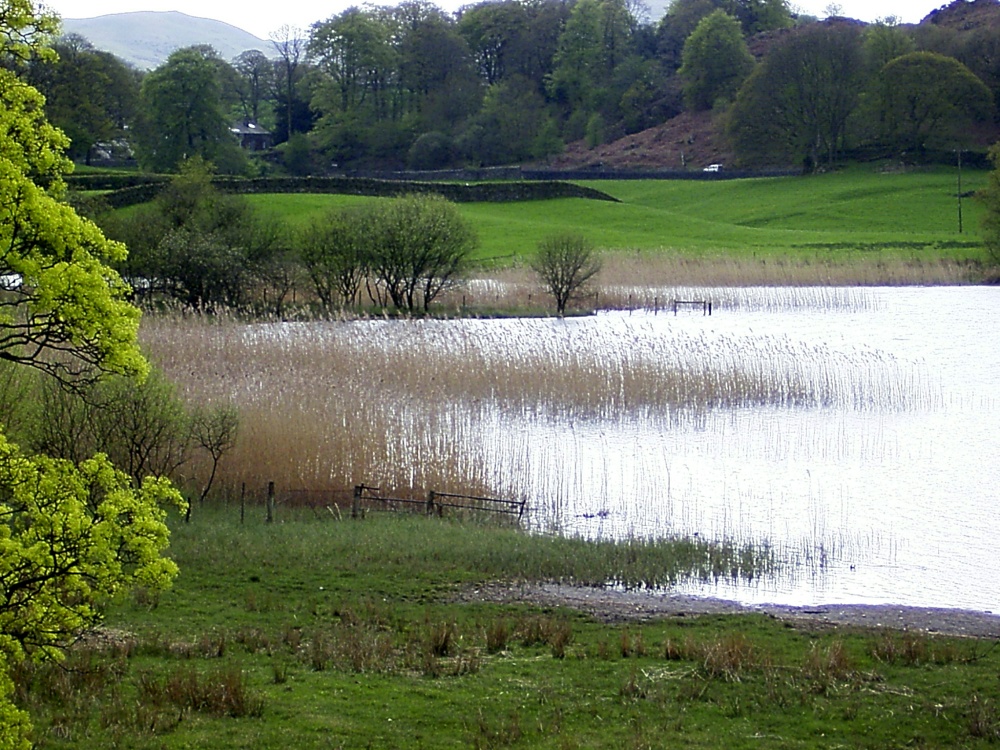 Coniston Water, Cumbria.Caplio RR30