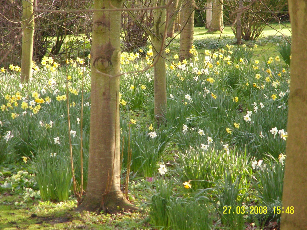 Ruins, Southwell, Nottinghamshire