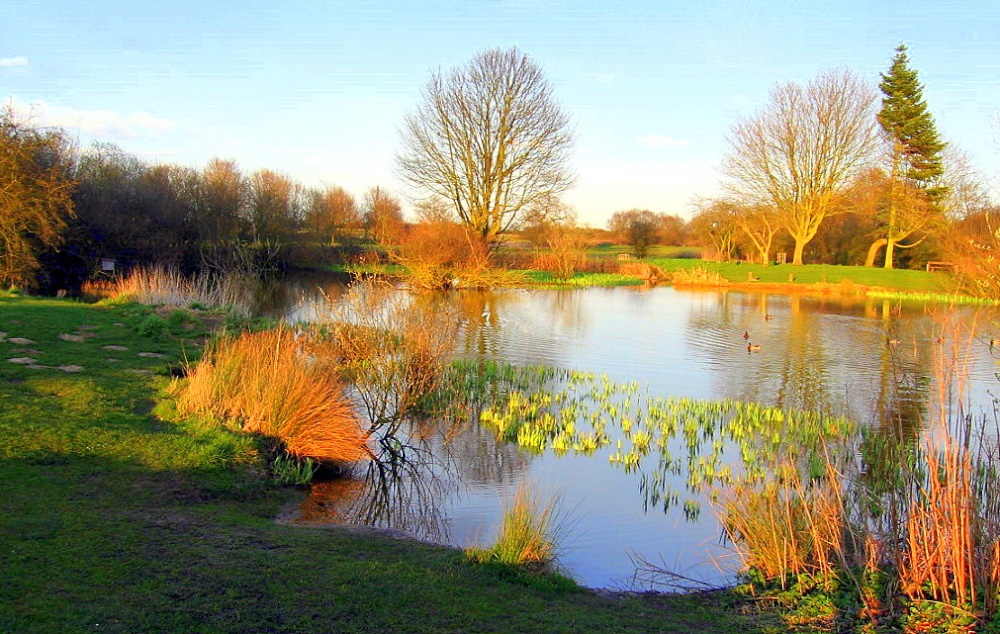 Neatherd Moor, Dereham, Norfolk