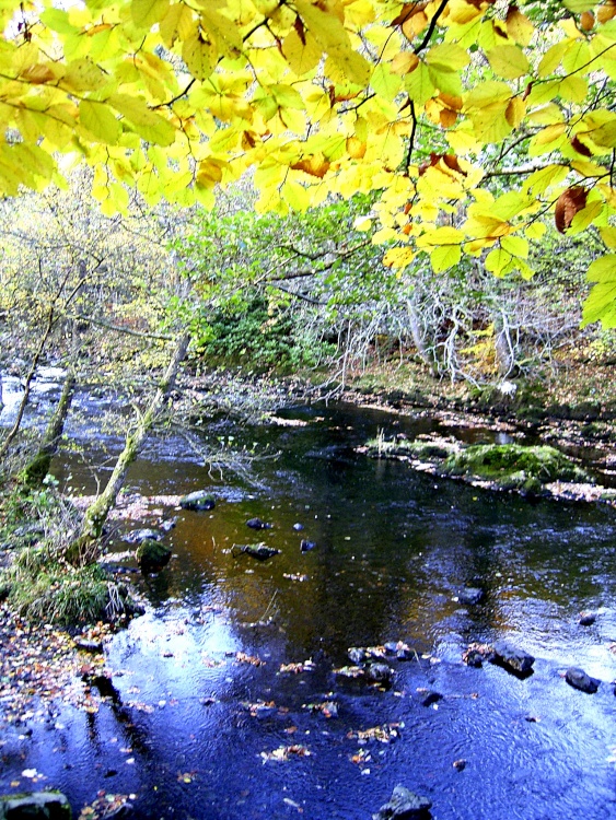 River nr Ambleside, Cumbria.