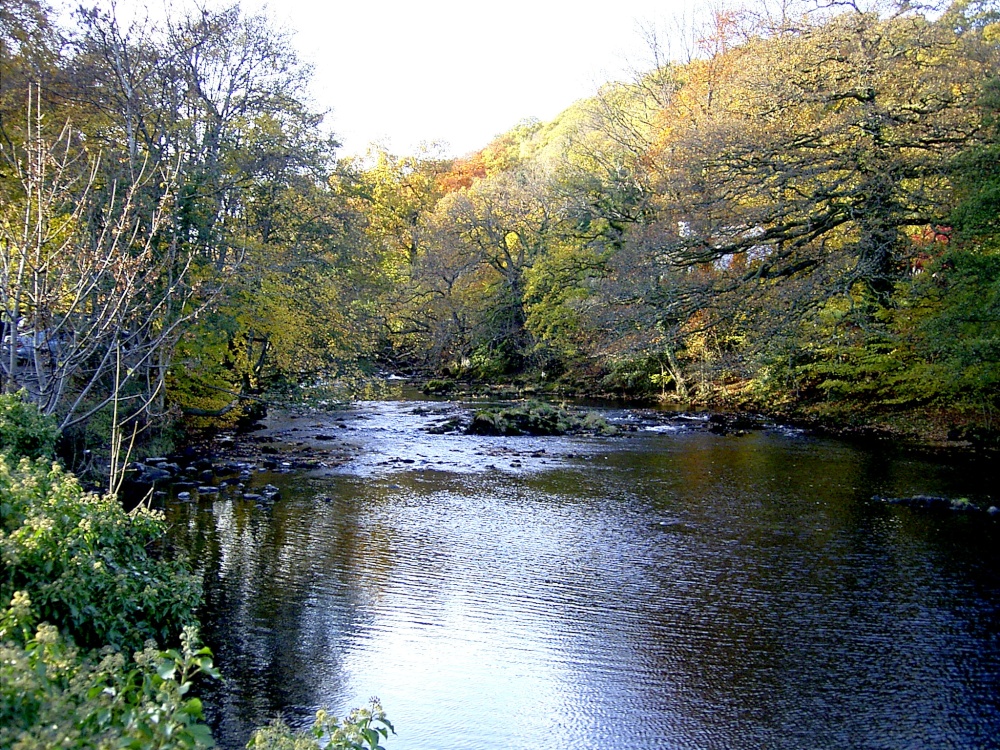 River nr Ambleside, Cumbria.