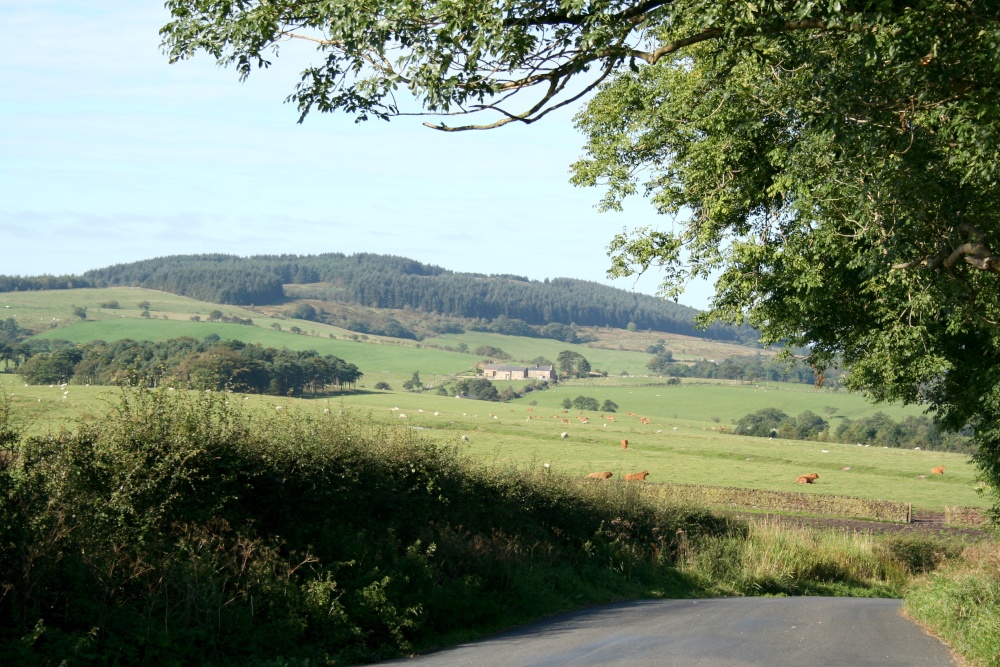 Beacon Fell, Whitechapel, Lancashire.