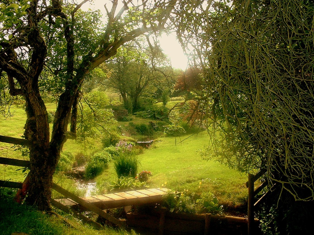 Photograph of A Garden, Brecon, Powys