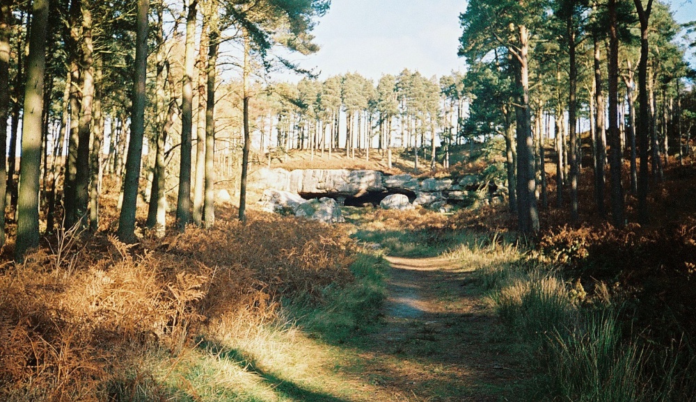 Photograph of St. Cuthbert's Cave, Holy Island