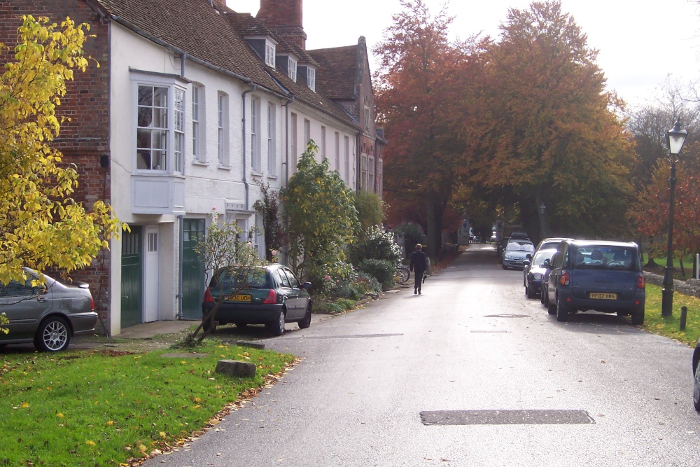 Photograph of Salisbury street in autumn