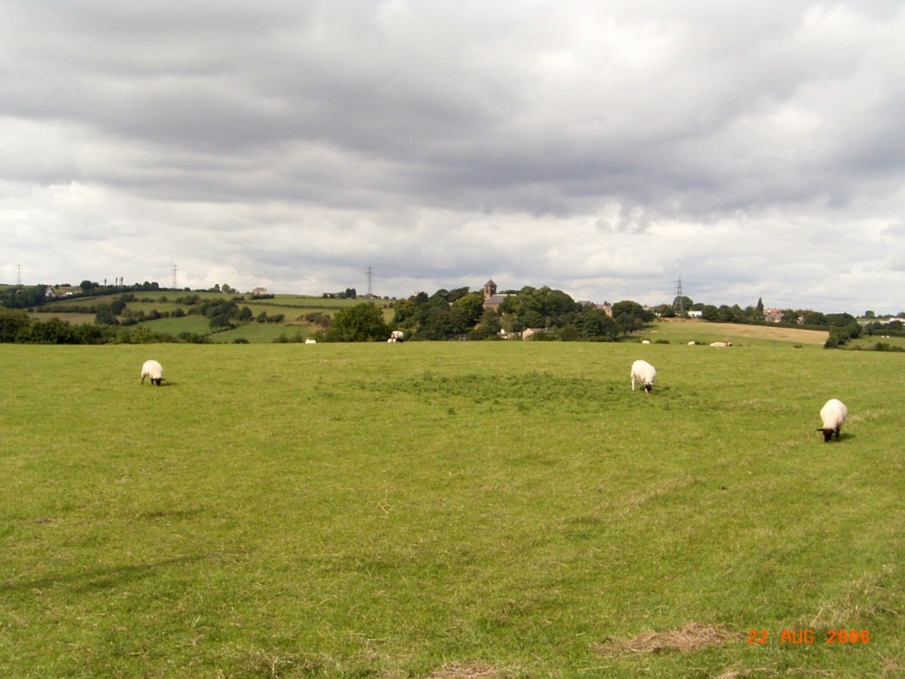 View across the fields to Whitley Lower