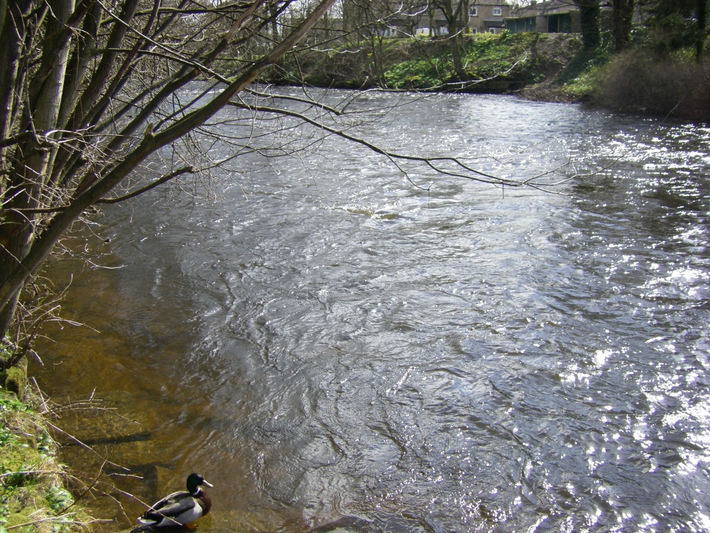 Ford, Baslow, Derbyshire