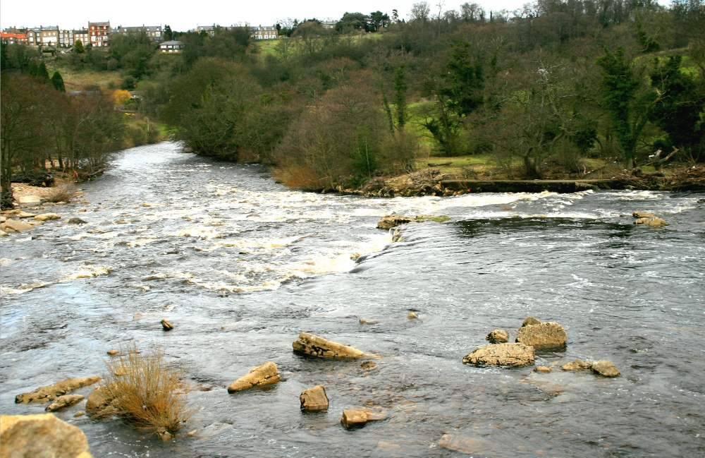 River Swale, Richmond, North Yorkshire.