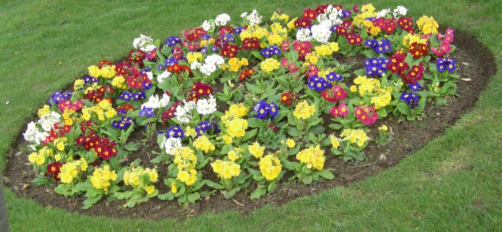 Springtime, Kirton in Lindsey, Lincolnshire