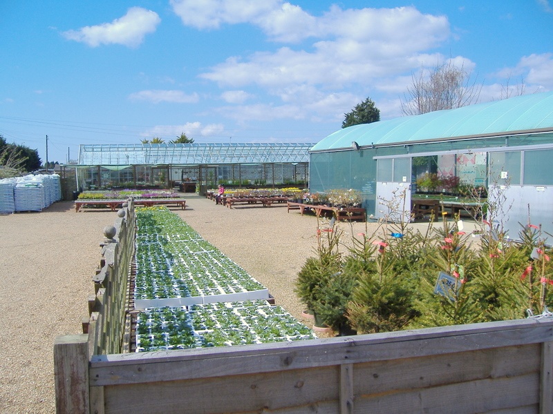 Lowertrees Nursery, Ferring
