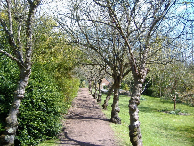 Highdown Gardens pathways