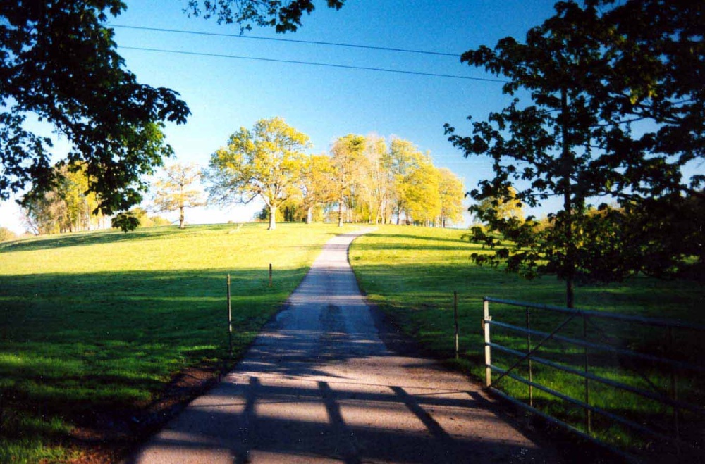 Rushmoor Farm approach, Tollard Royal, Wiltshire