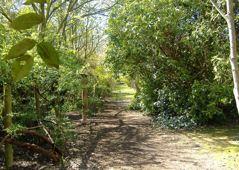 Endless footpaths within Highdown Gardens