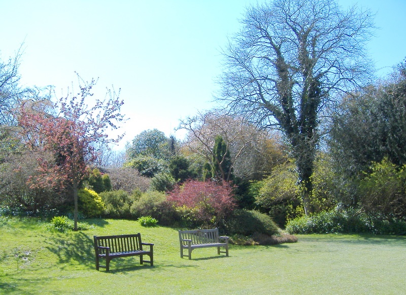 The Lawns, Highdown Gardens, West Sussex