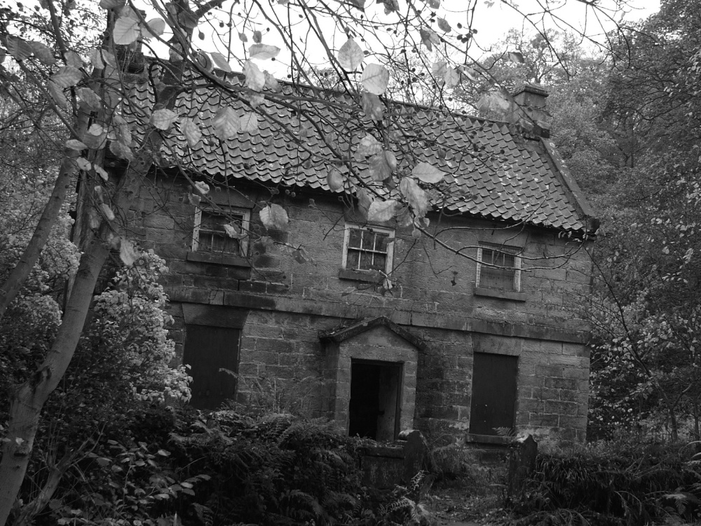 Midge Hall ,Falling Foss