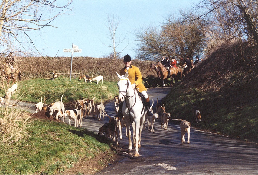 Berkeley hounds at 'Windy Corner'
