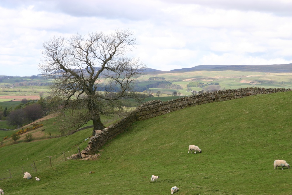Photograph of Between Penrith and Alston on the A686