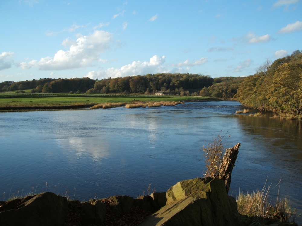 The River Ribble at Dinckley near Ribchester
