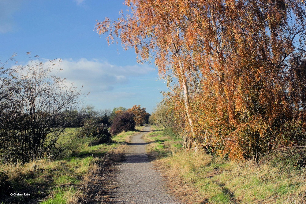 Shillingstone in Dorset