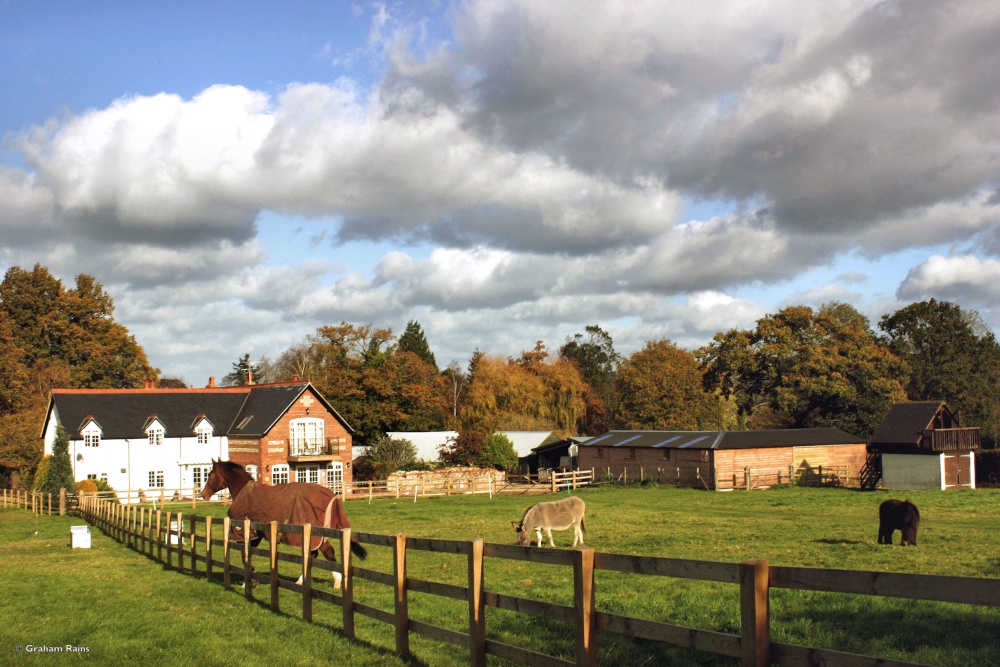 Shillingstone in Dorset