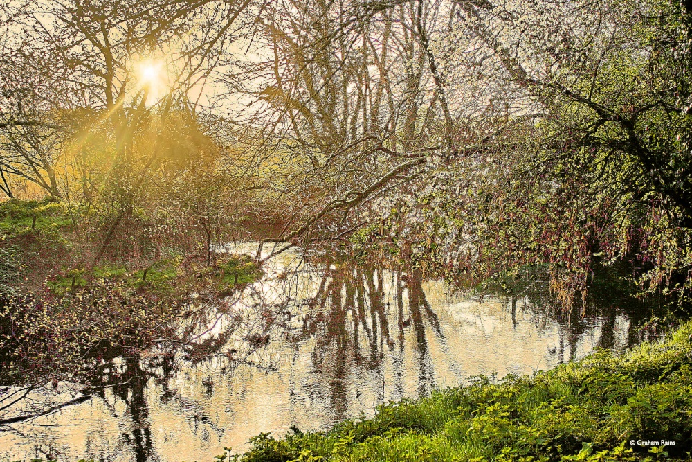 Shillingstone in Dorset