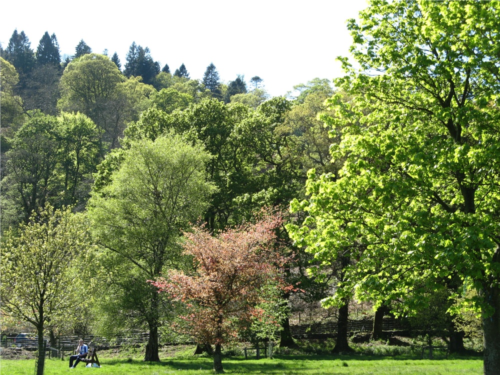 Glenridding, in the English Lake District.