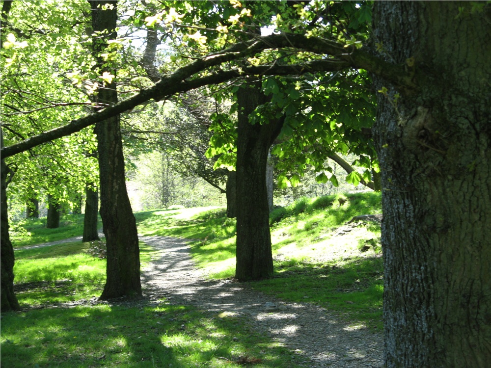 Glenridding, in the English Lake District.