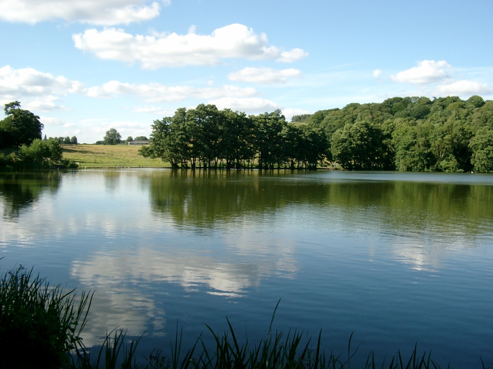 Himley Park