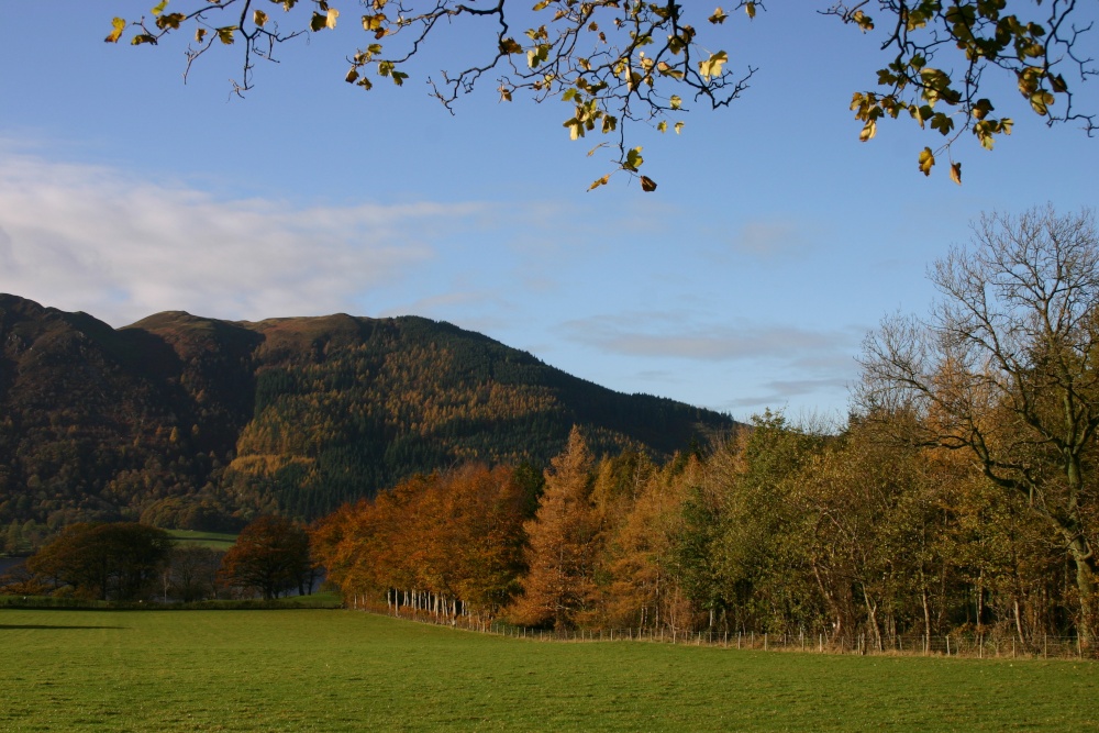 Scenery beside Bassenthwaite Lake