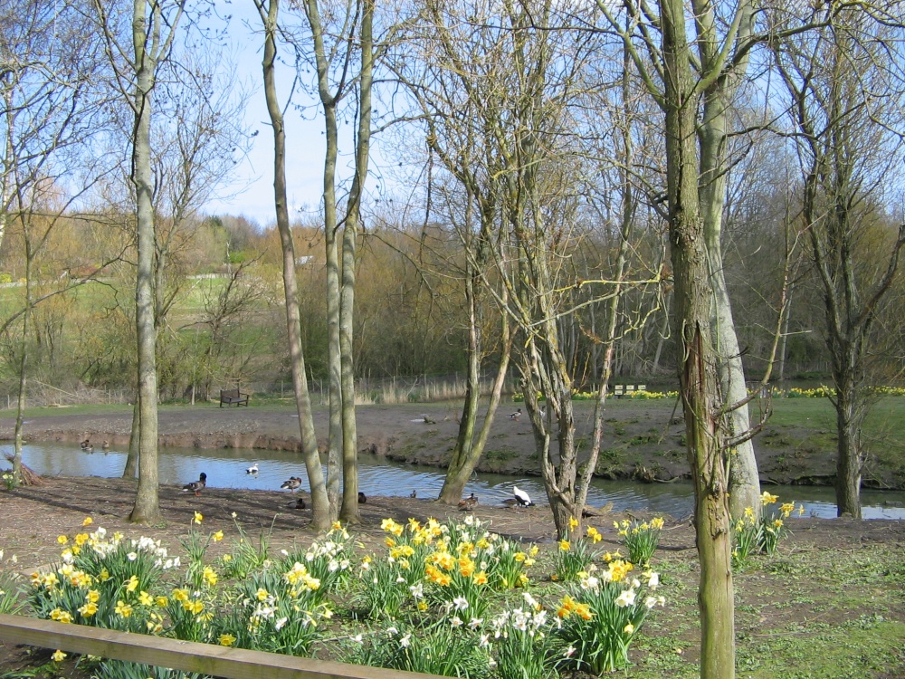 Washington Wetlands Centre.