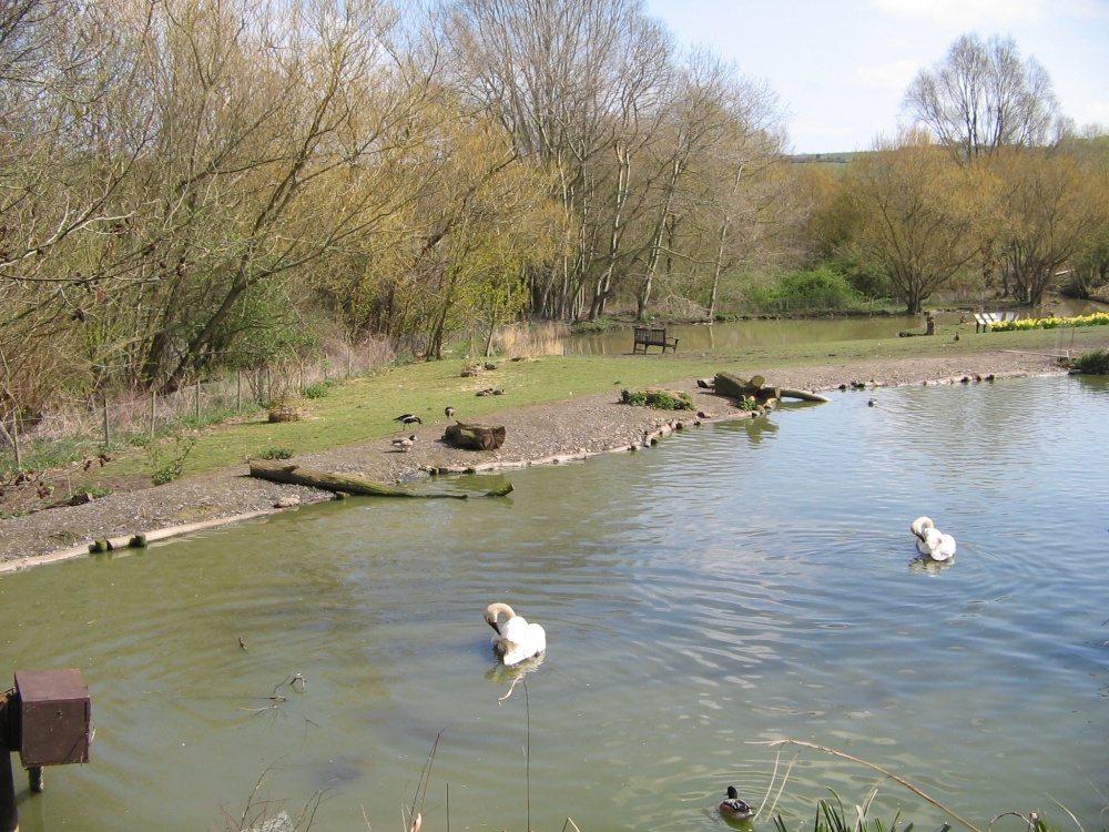 Washington Wetlands Centre.