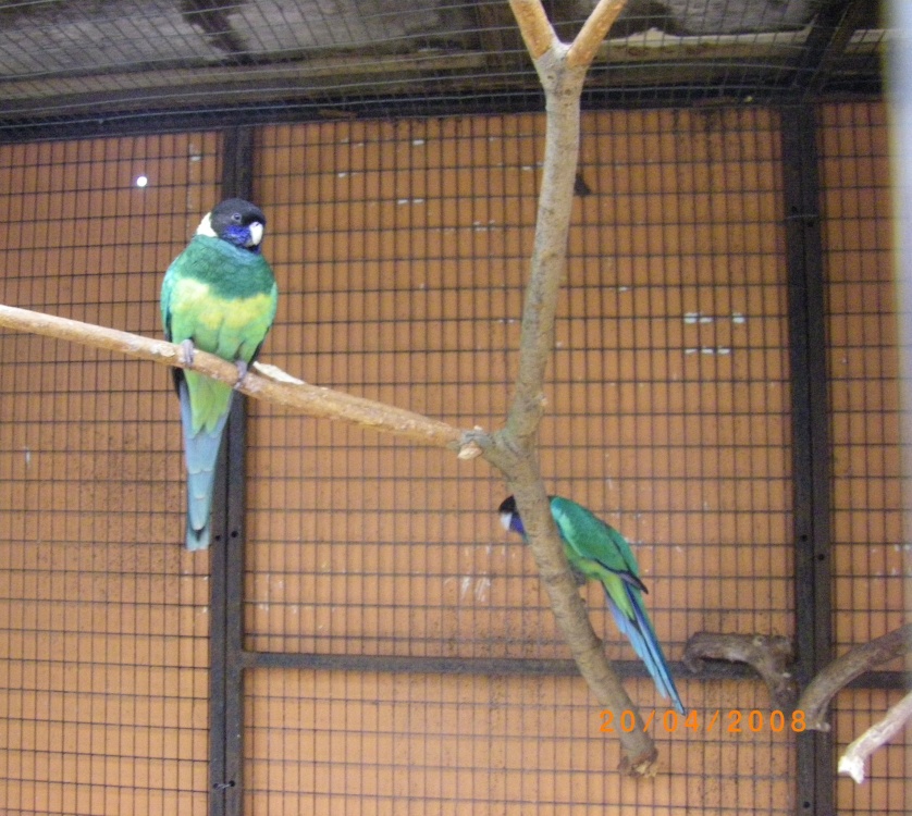 The Jungle Zoo, Cleethorpes, Lincolnshire