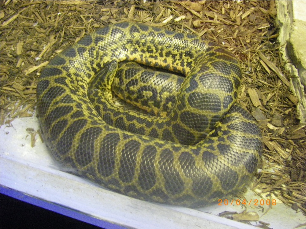 The Jungle Zoo, Cleethorpes, Lincolnshire