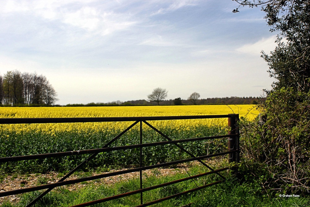 Shillingstone in Dorset