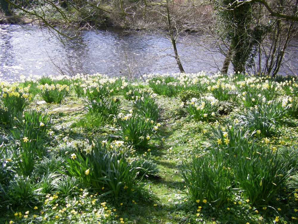 Graveyard, Baslow, Derbyshire