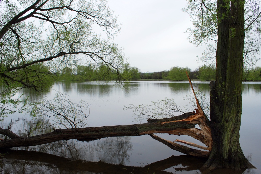 Saddington Reservoir, Leicestershire