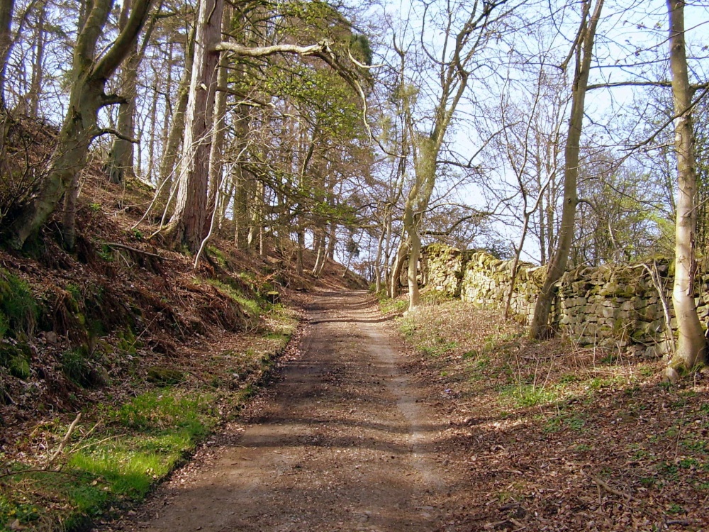 Photograph of Track near the ford, Eggleston, County Durham