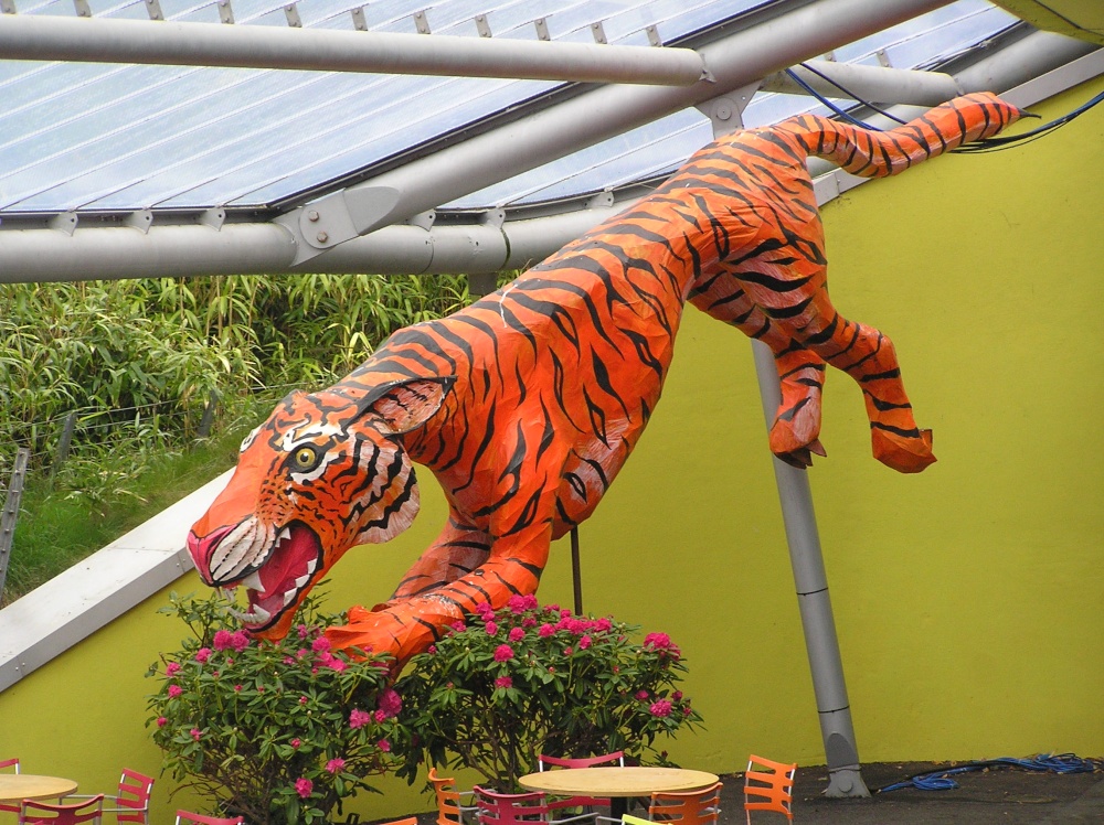 Paper tiger at Eden