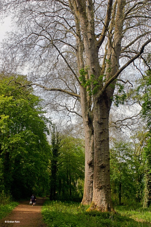 Blandford Forum in Dorset