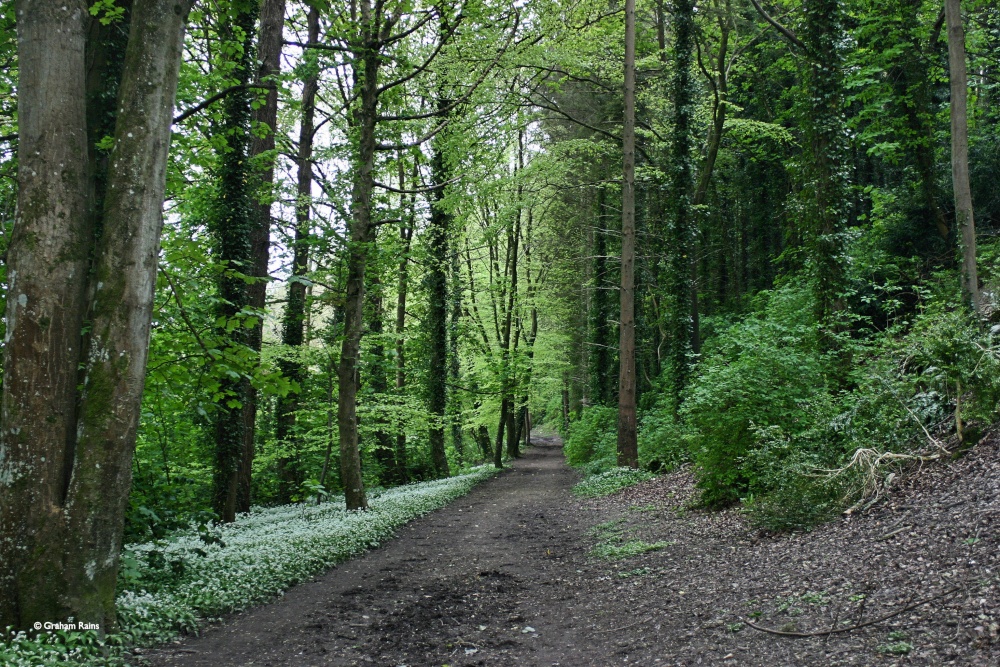 Blandford Forum in Dorset