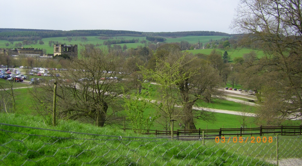 View photo by Barbara Whiteman