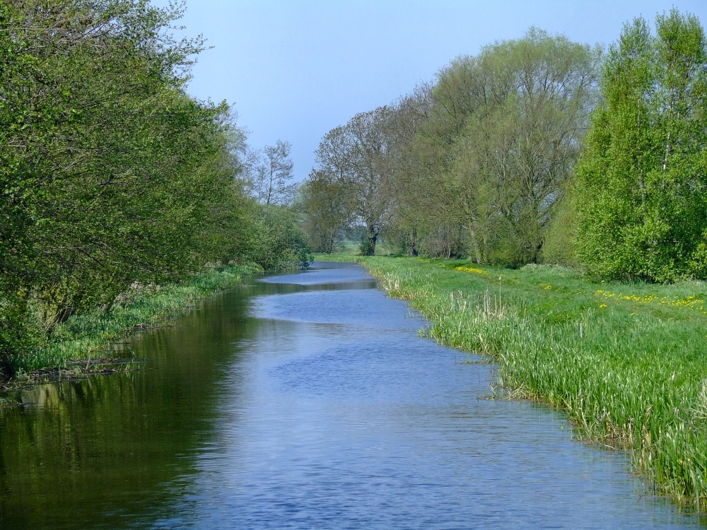The canal, Melbourne
