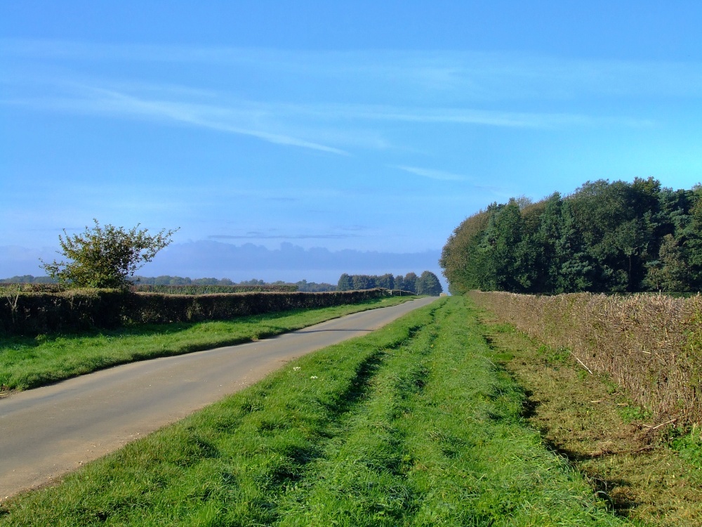 Country lane