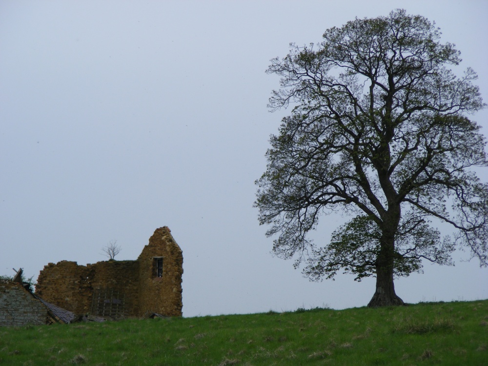 Alone photo by Adrian Stephen