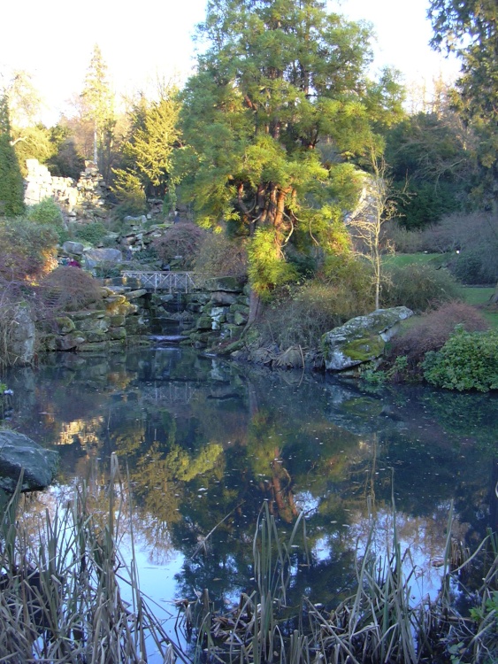 The Strid garden