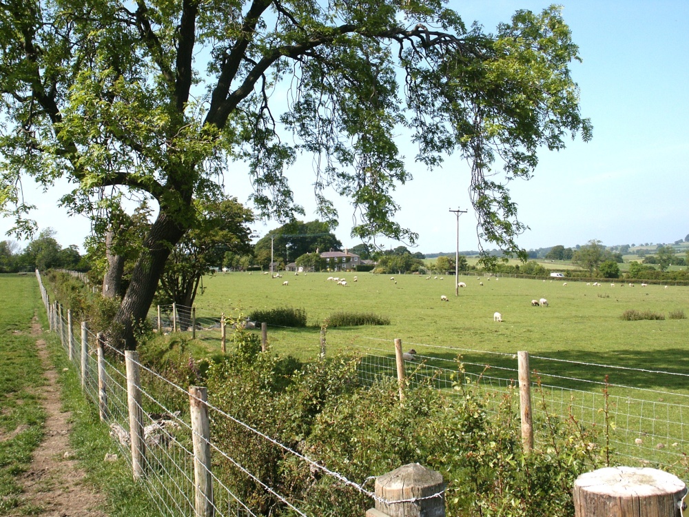 Nr. Bishop Thornton. Ripley. North Yorks