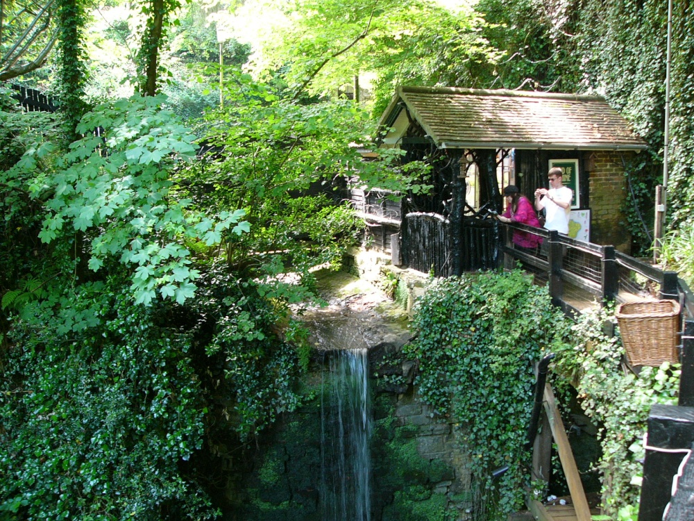 Shanklin Chine