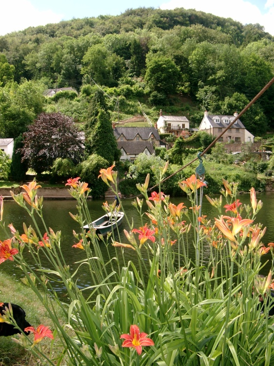 Tranquility at Symonds Yat
