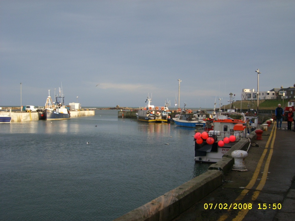 Bay Seahouses